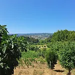 Casa de Férias Quinta De Carcavelos E Enoturismo Celorico De Basto