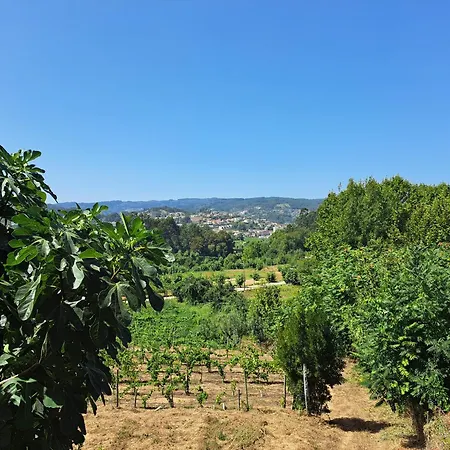 Дом отдыха Quinta De Carcavelos E Enoturismo Селорику-ди-Башту