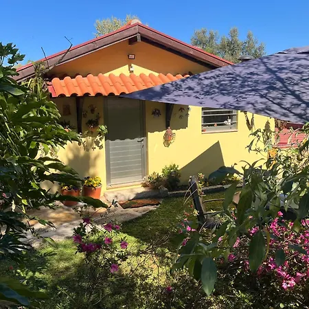 Quinta De Carcavelos E Enoturismo