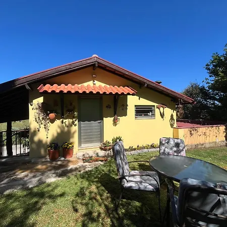 Casa vacanze Quinta De Carcavelos E Enoturismo Celorico De Basto