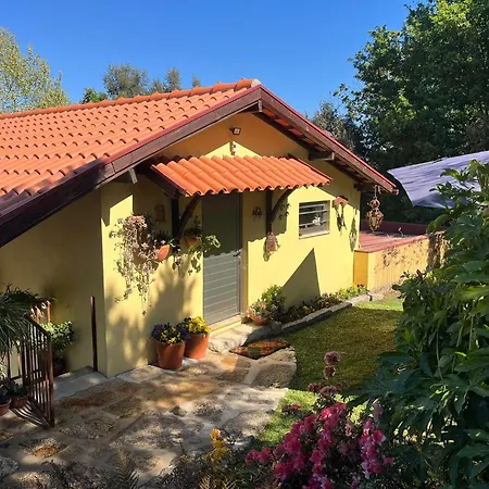 Quinta De Carcavelos E Enoturismo