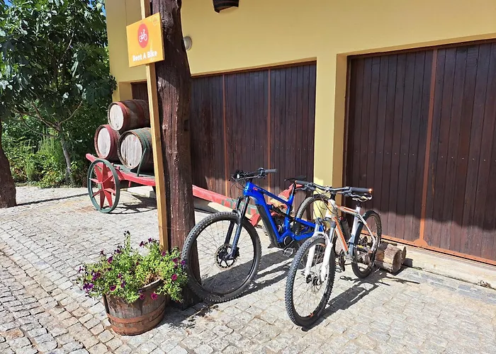 Quinta De Carcavelos E Enoturismo Casa de Férias Celorico De Basto