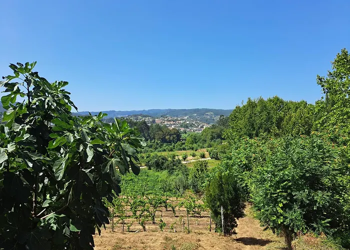 Casa de Férias Quinta De Carcavelos E Enoturismo Celorico De Basto